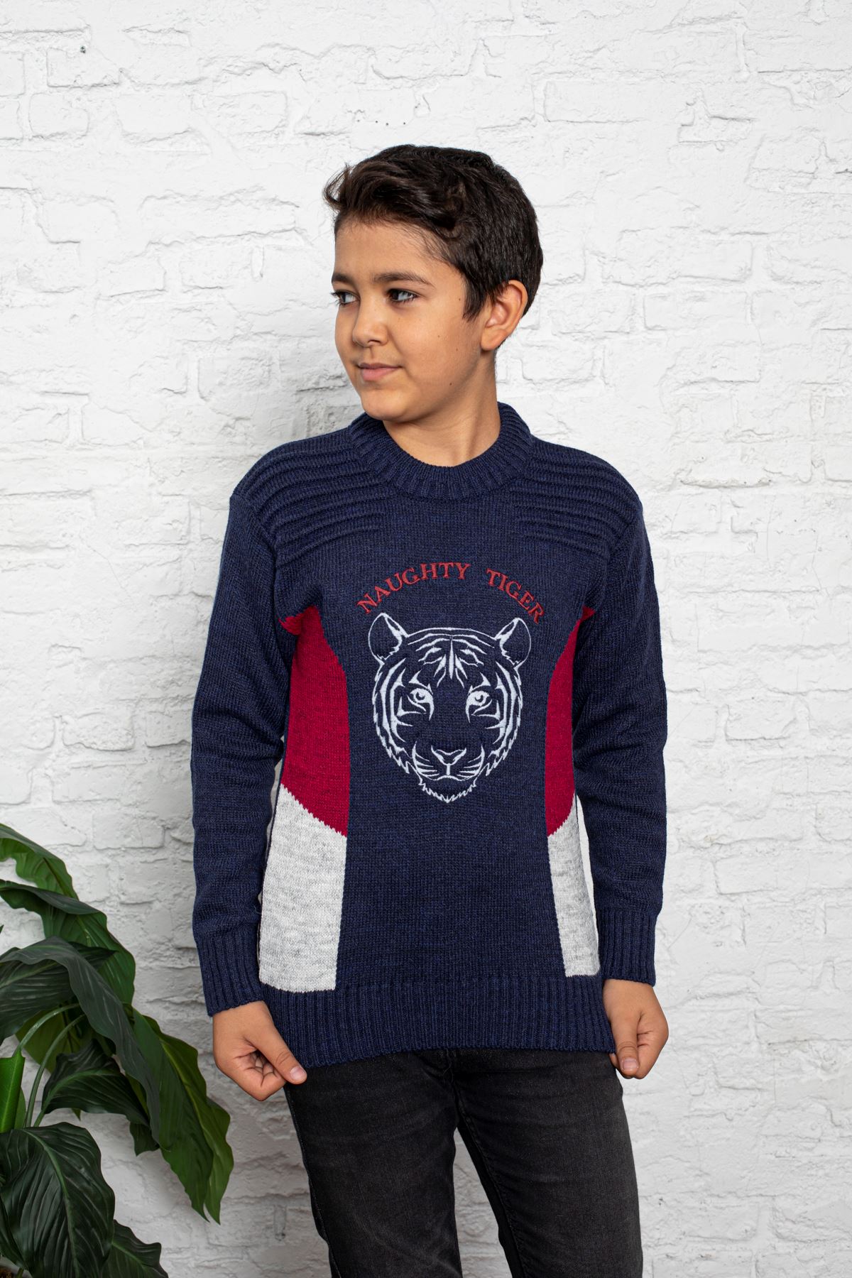 Lion Printed Crew-Neck Boy's Knit Sweater