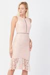 Lace Dress with Flounced Skirt