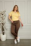 Lycra Plus Size Pants