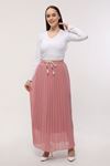 Pleated Chiffon Women's Skirt